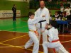 Parate Karate