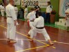 Karate provincia di Venezia