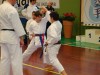 Karate provincia di Treviso